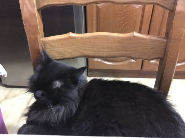 Che domenicaaaa bestialeee