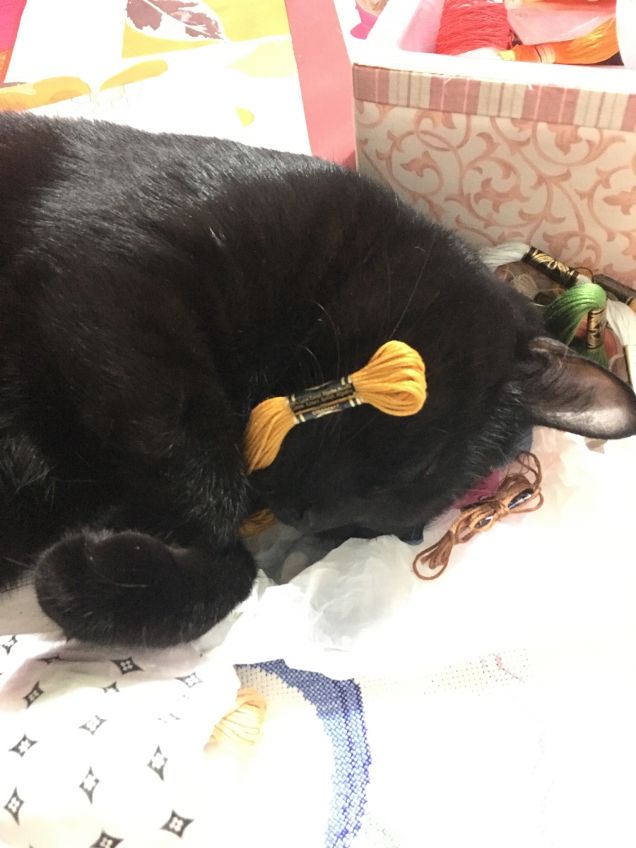 Umana ti aiuto a ricamare