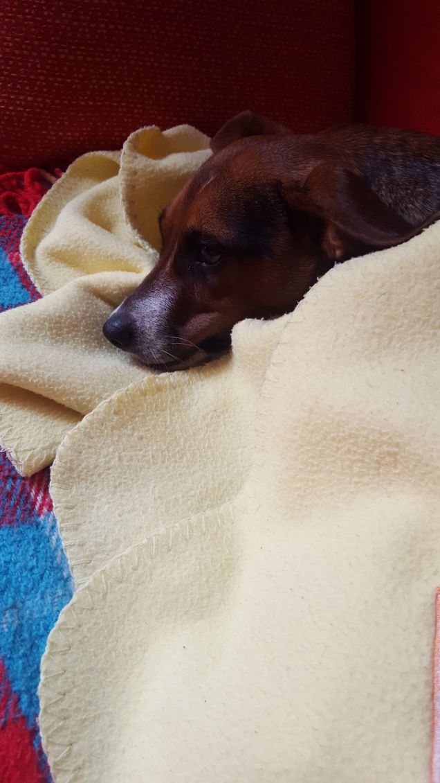 quanto mi piace dormire...