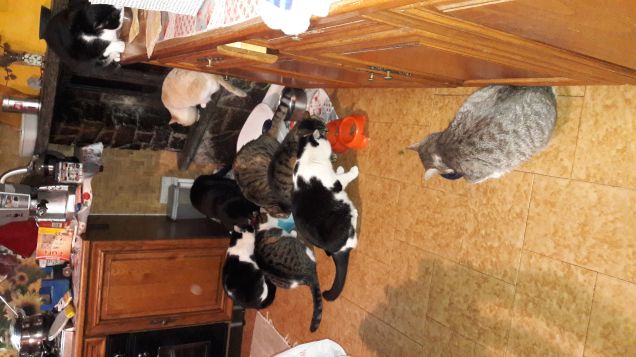 Pappa time Camillo and family