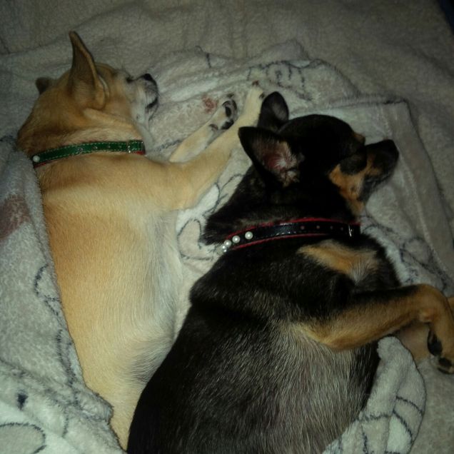 Jack e Beatrice❤9 e 7 anni