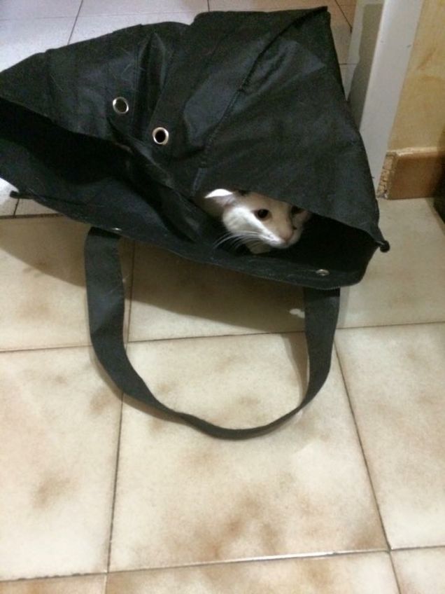 Giochiamo a nascondino