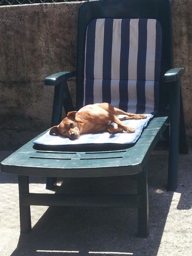 Relax... ogni tanto ci vuole dai