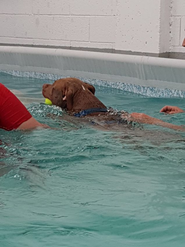 Che bella la piscina