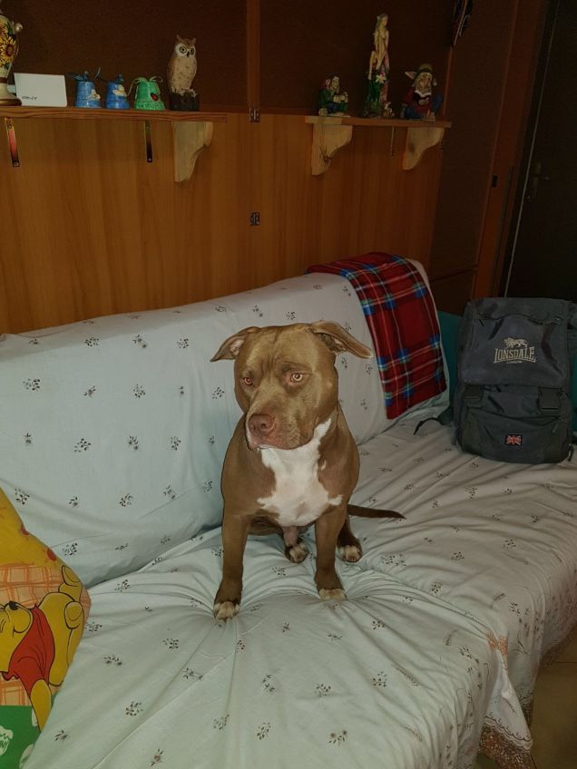 Zeus