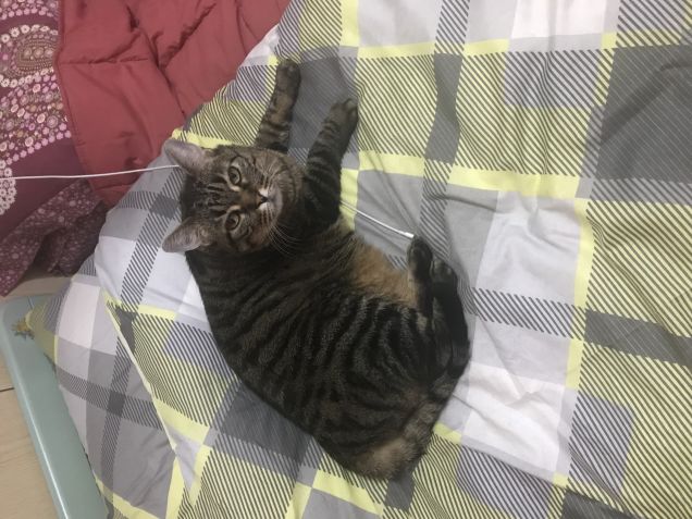 Quello è il mio letto