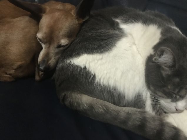 Dormiamo vicini vicini