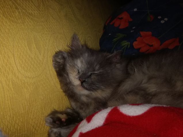 I pomeriggi noiosi...