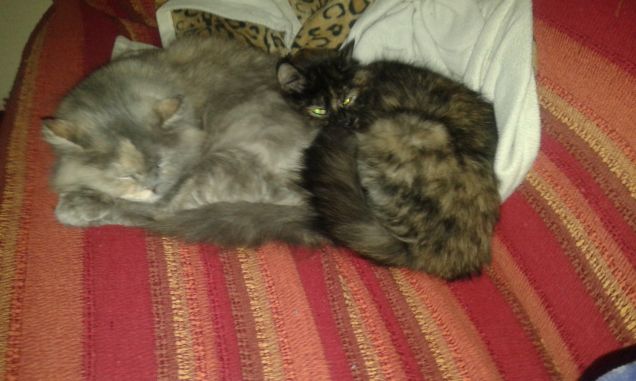 Coccoliamoci un pochino...