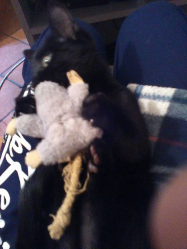 Mia e quel che resta del topopelo