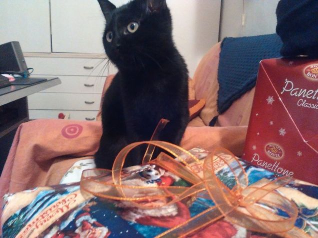 primo natale insieme