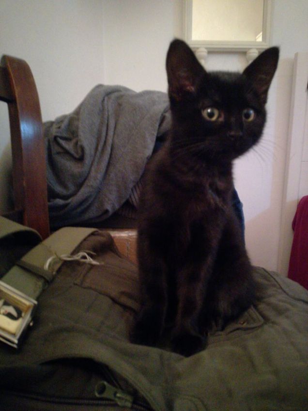 Hai detto biscotti....