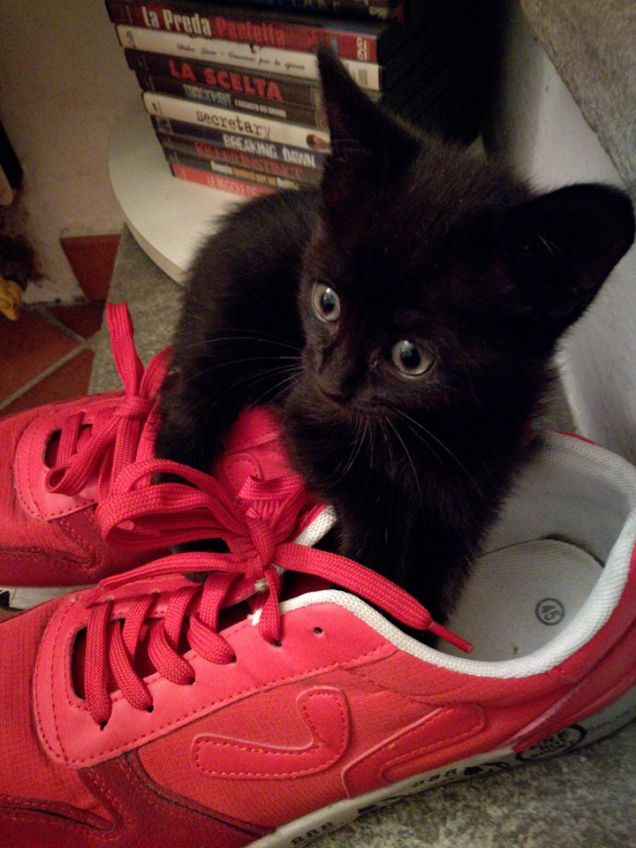 Il rosso la sua passione