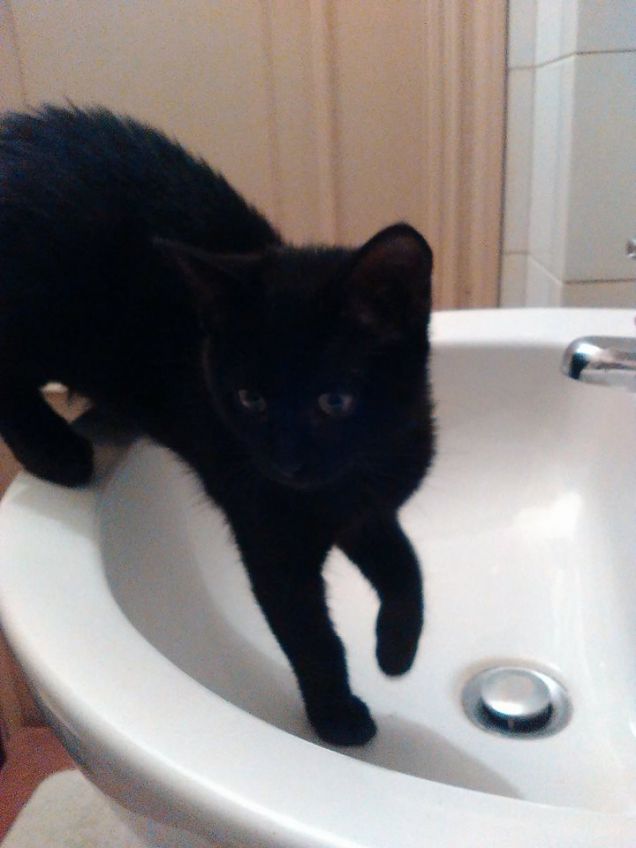 l'igiene al primo posto