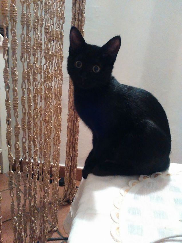 posso giocare con la tenda