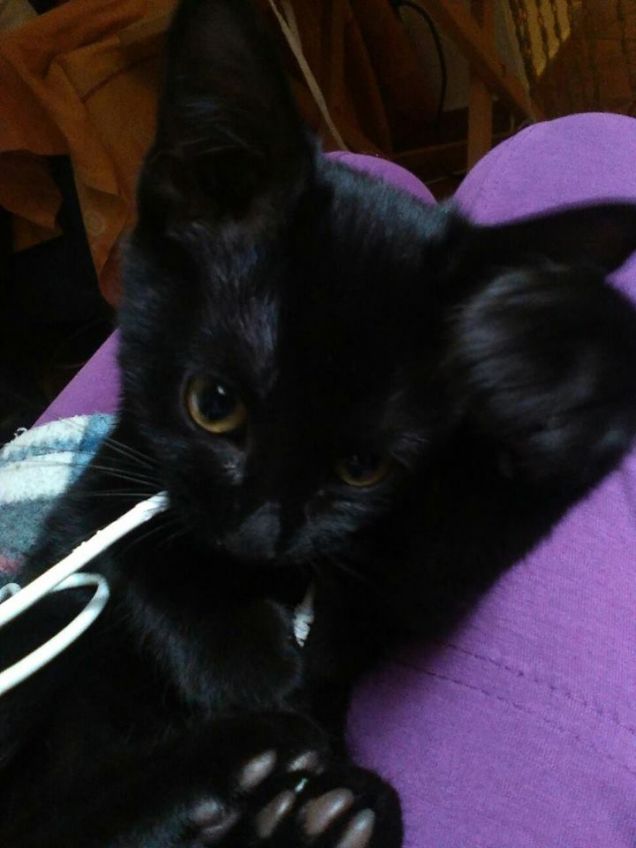 piccola alternativa di mia per quando gli fanno male i nuovi dentini