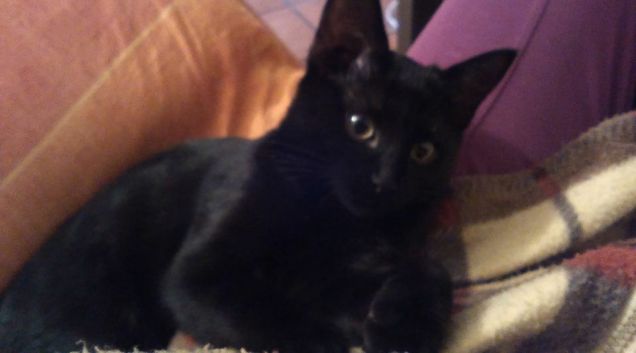 quattro mesi tra due ggiorni di puro amore