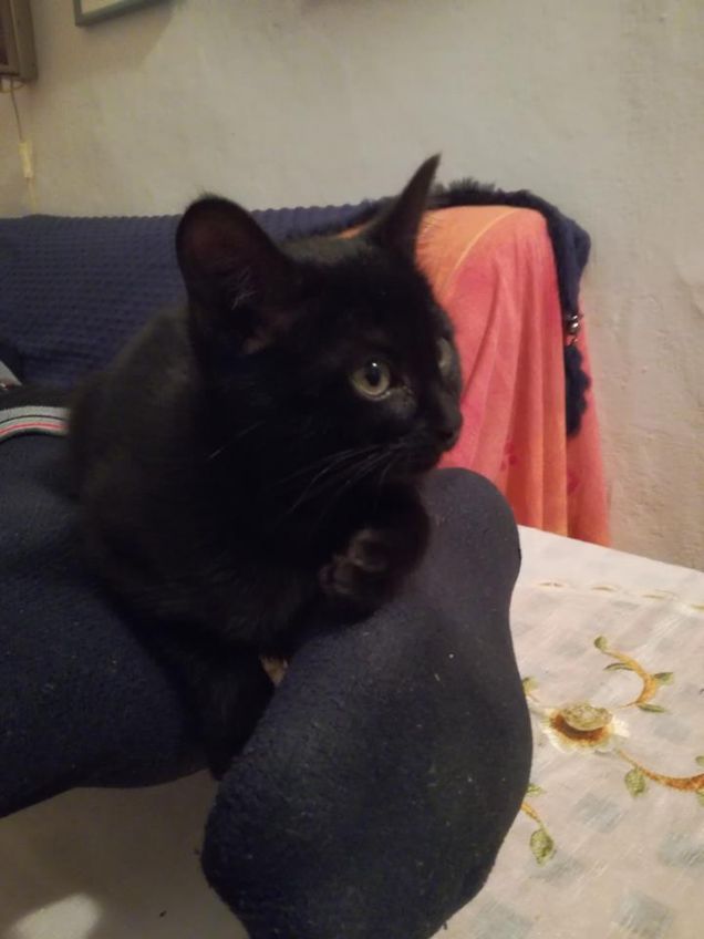 mi dici che quel rettangolo è la tv