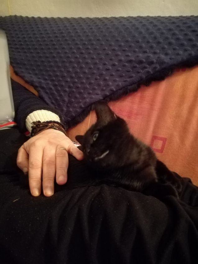 la rassicurazione dopo aver sentito i famigerati botti di capodanno