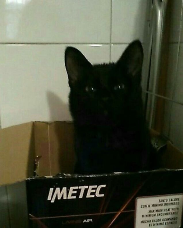 TOH UNA SCATOLA.....