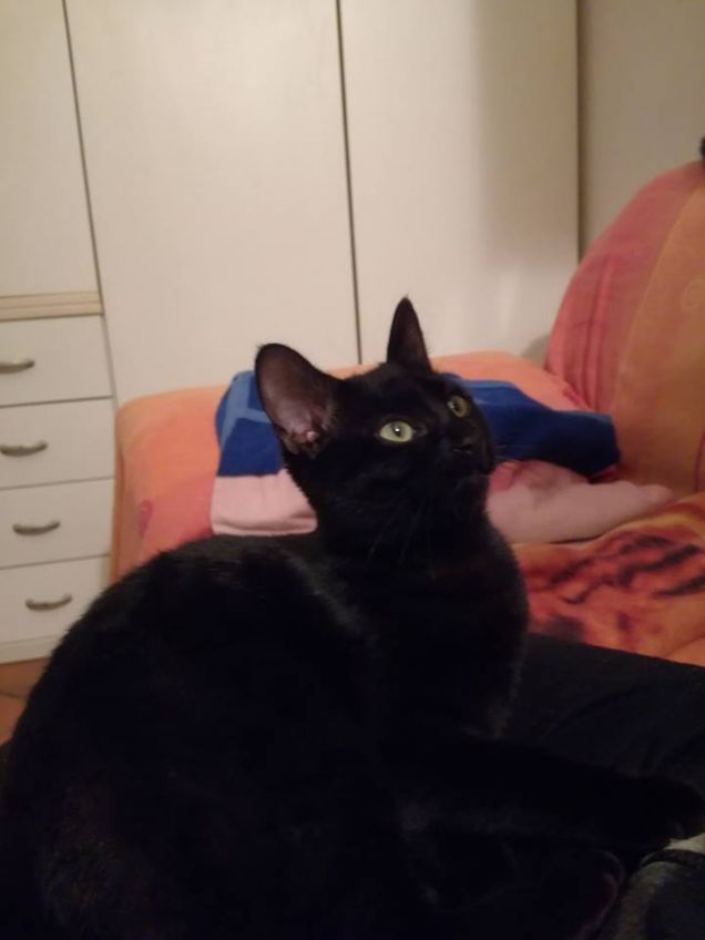 - 3 gg ai cinque mesi di lei