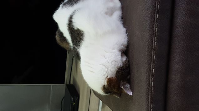 Datele voi un titolo Ah ah ah!