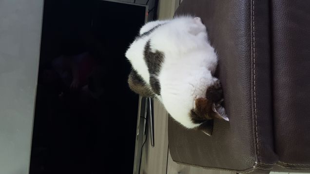 Datele voi un titolo Ah ah ah!