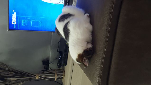 Datele voi un titolo Ah ah ah!