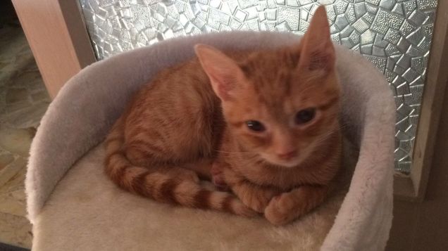 Quanto era piccolo .. 