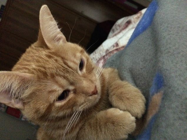 Il suo buongiorno ... 