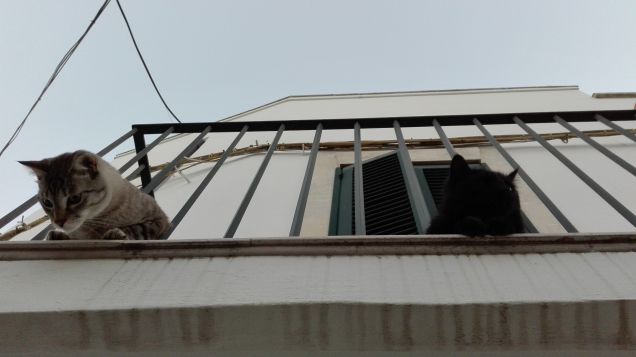 Affacciati al balcone