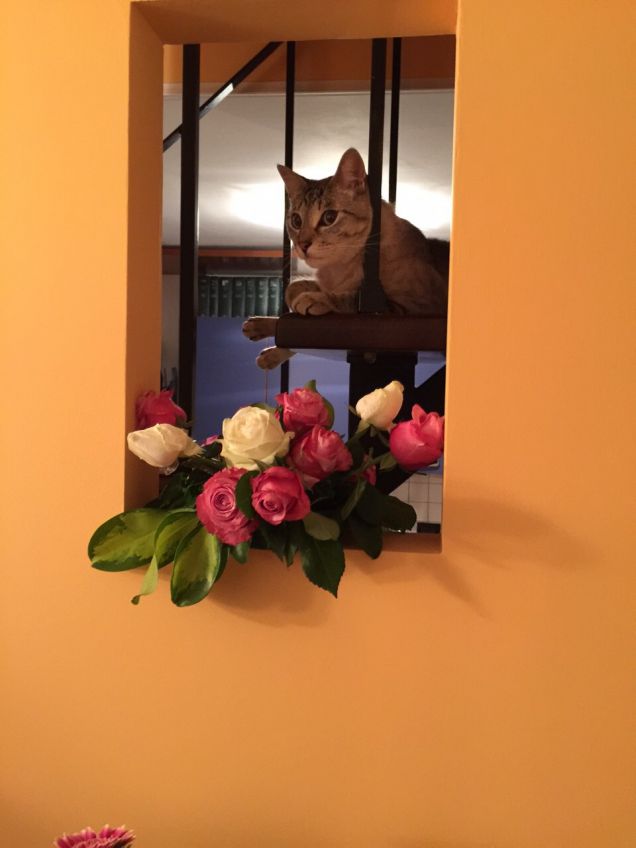 Spigola in mezzo ai fiori