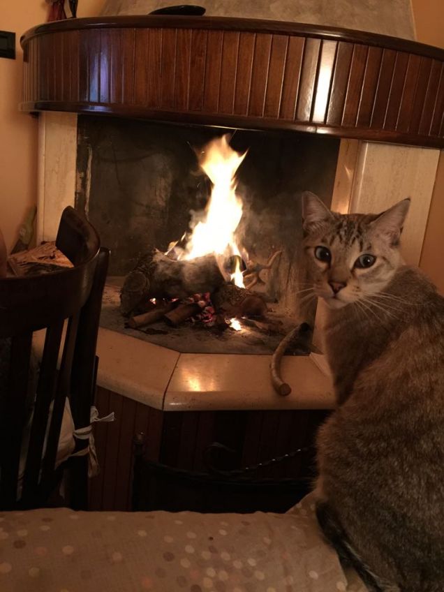 Ma quanto sei bello?!?