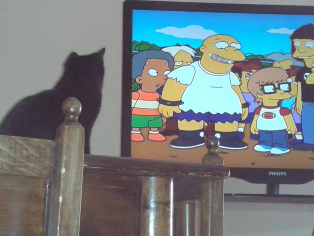 Polpetta e i Simpson