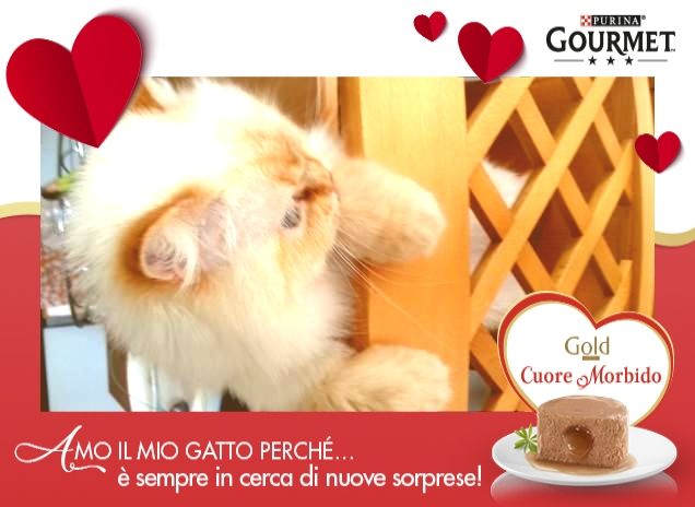 è l'ora della pappa?