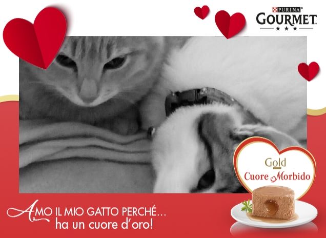 Piccole pesti dal cuore grande