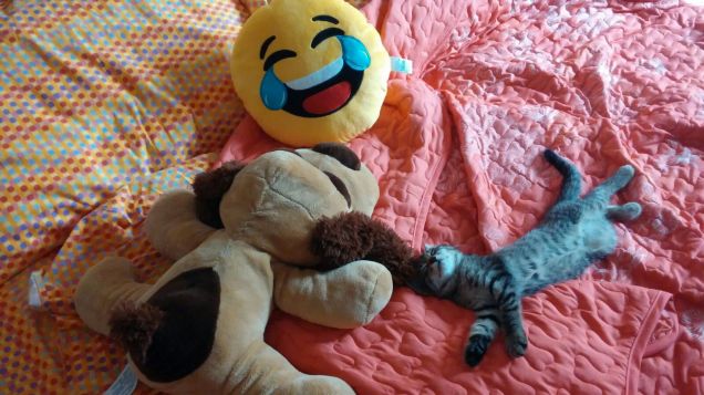 Che comodo questo letto!