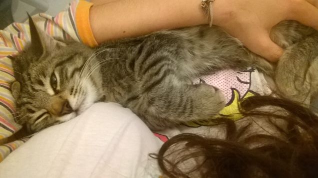 Che comodoooo quiiiii