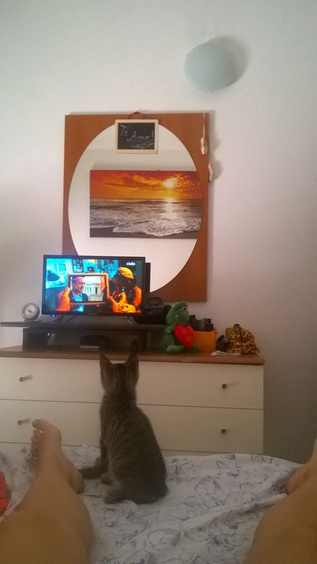 Che c'è stasera in TV?