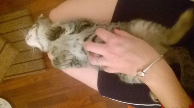 E chi si sposta da qui?!