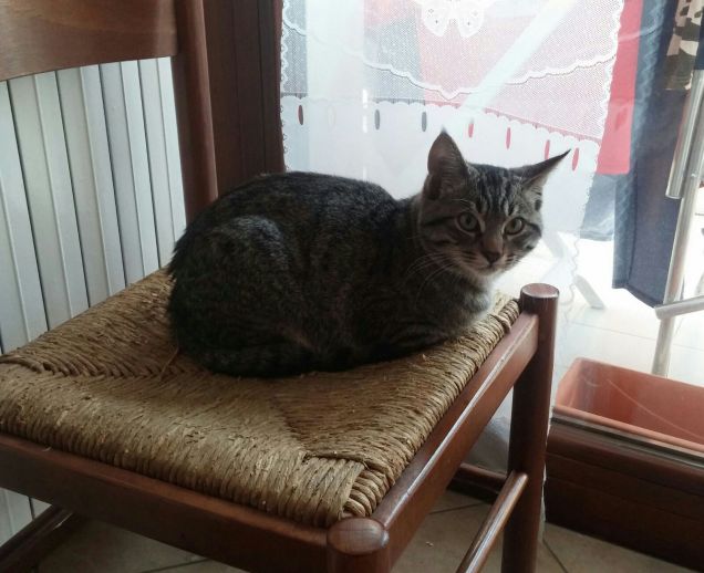 Da qui controllo dentro e fuori