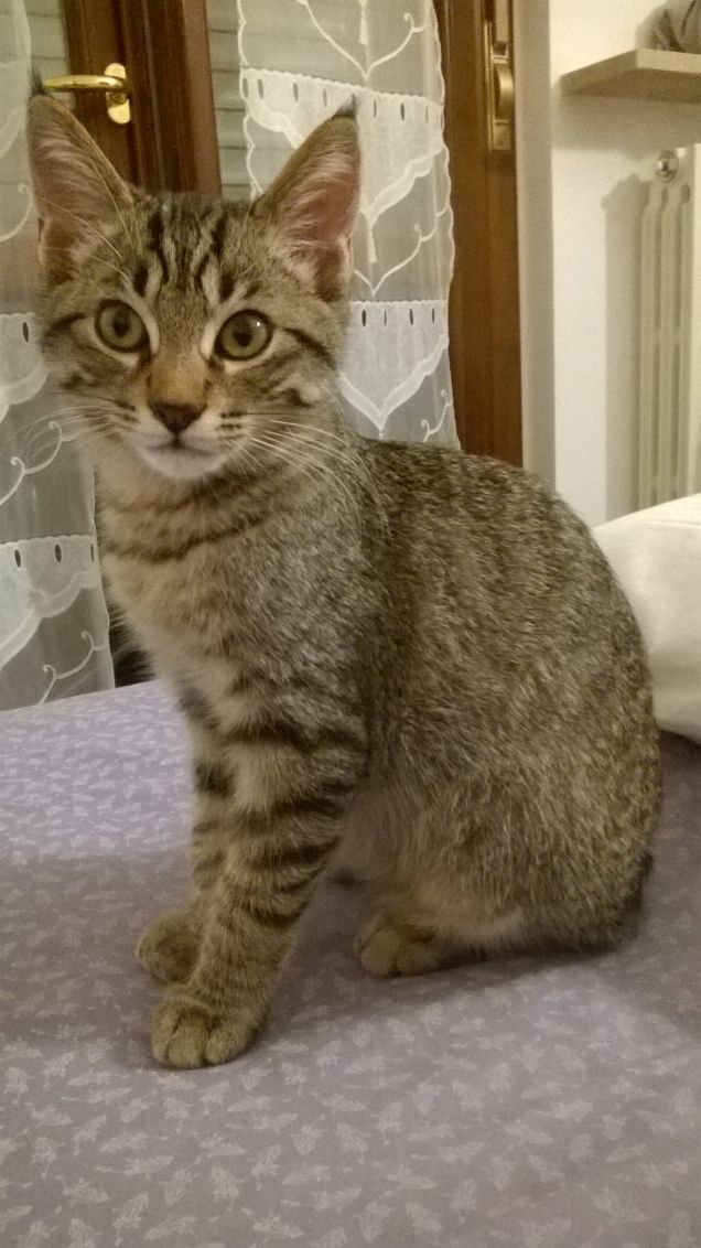 Posso venire a nanna con te?