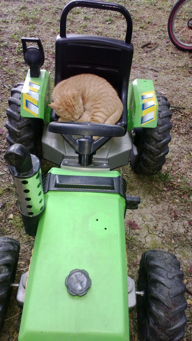 andiamo a comandare!