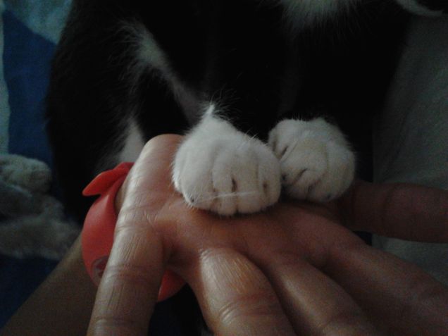 Noi, famiglia per amore