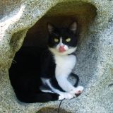 Aisha è una roccia 2