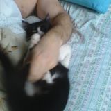 l'abbraccio di Aisha