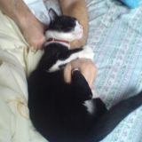 l'abbraccio di Aisha 2