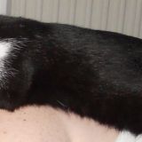 Aisha ....ma ti pare normale?