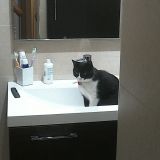 Aisha che ci fai lì?