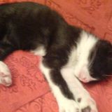 Aisha... ricchi sonni 2